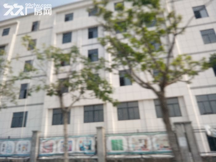 灌口全新标准厂房13000平方出租（可以分租）