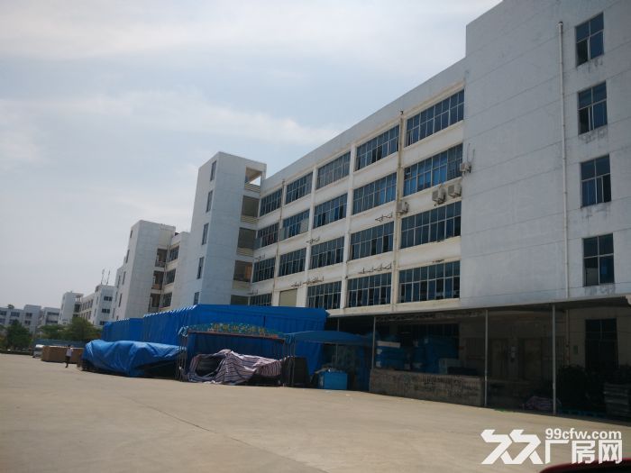 翔安国道边12000平方出租。