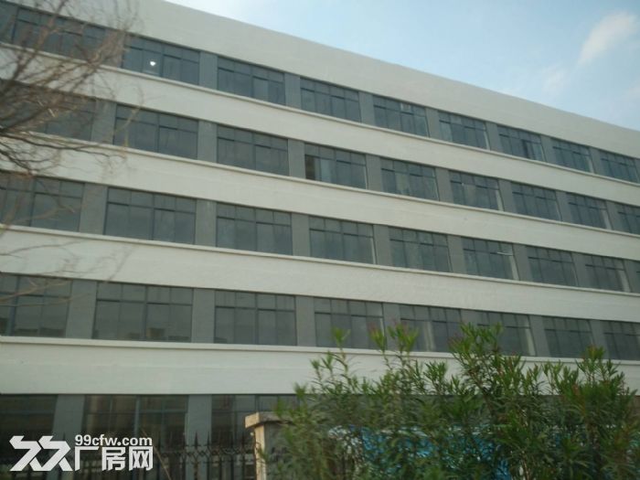 翔安框架厂房5万平，130000平，1万平方出租