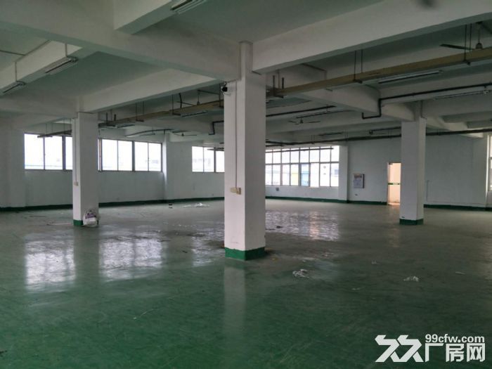 食品厂房出租带冻库！！！-图2