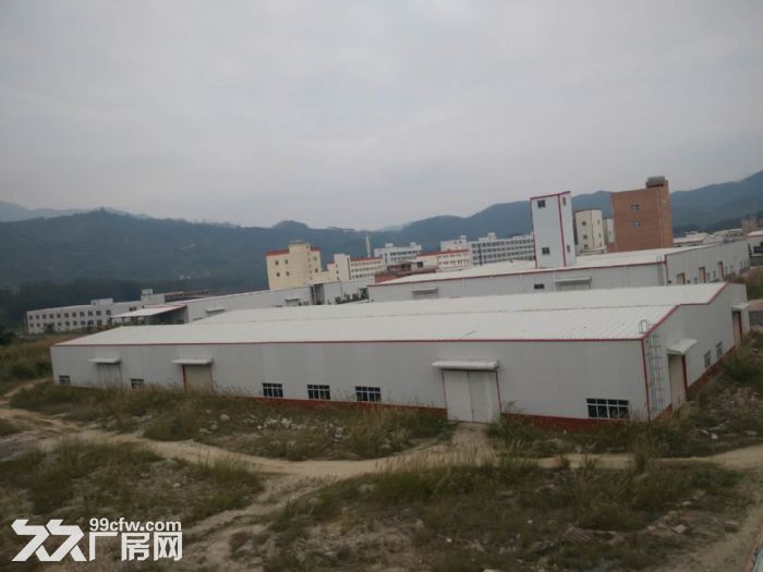 同安标准钢结构25000平方出租