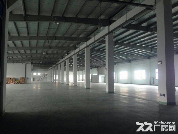 同安标准钢结构23900平方出租