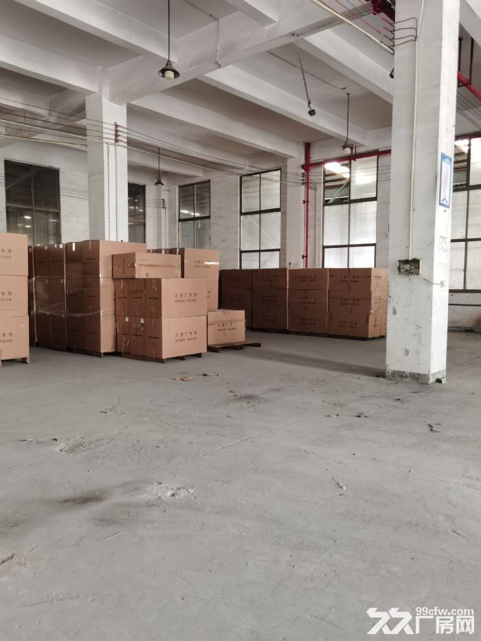 一楼标准厂房，相信你的选择（免中介）-图2