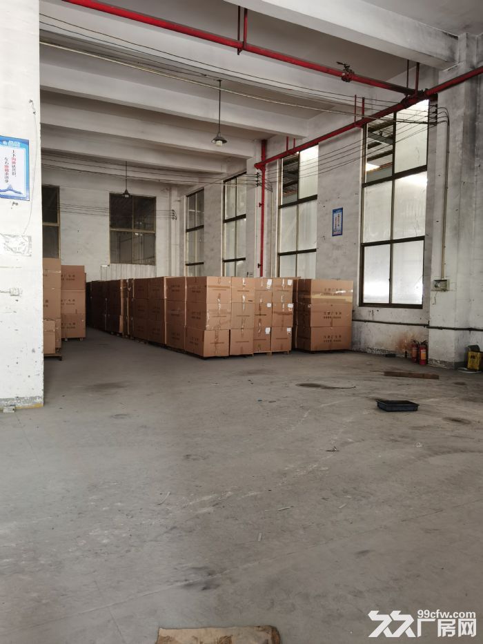 一楼标准厂房，相信你的选择（免中介）-图3