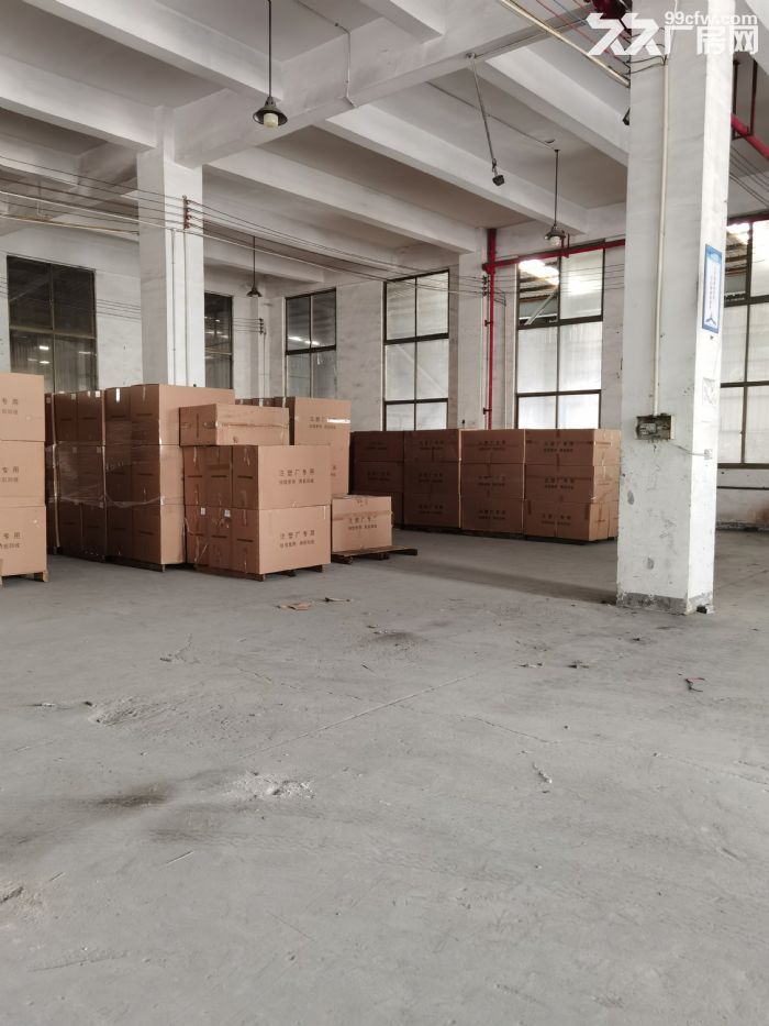 一楼标准厂房，相信你的选择（免中介）-图4