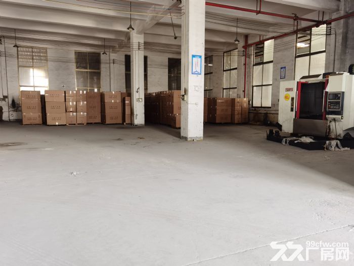 一楼标准厂房，相信你的选择（免中介）-图5