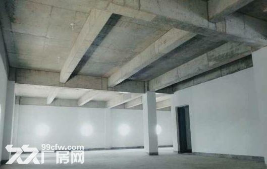 湖里区安兜社1500平厂房招租