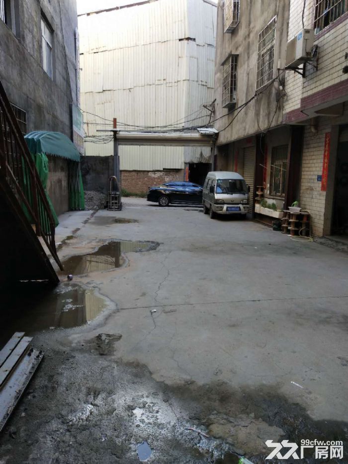 五缘湾板美村1楼450平出租-图4