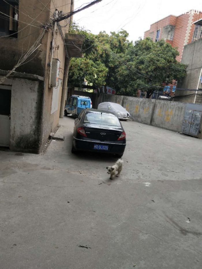 杏林杏西路正新轮胎附近650框架加铁皮出租