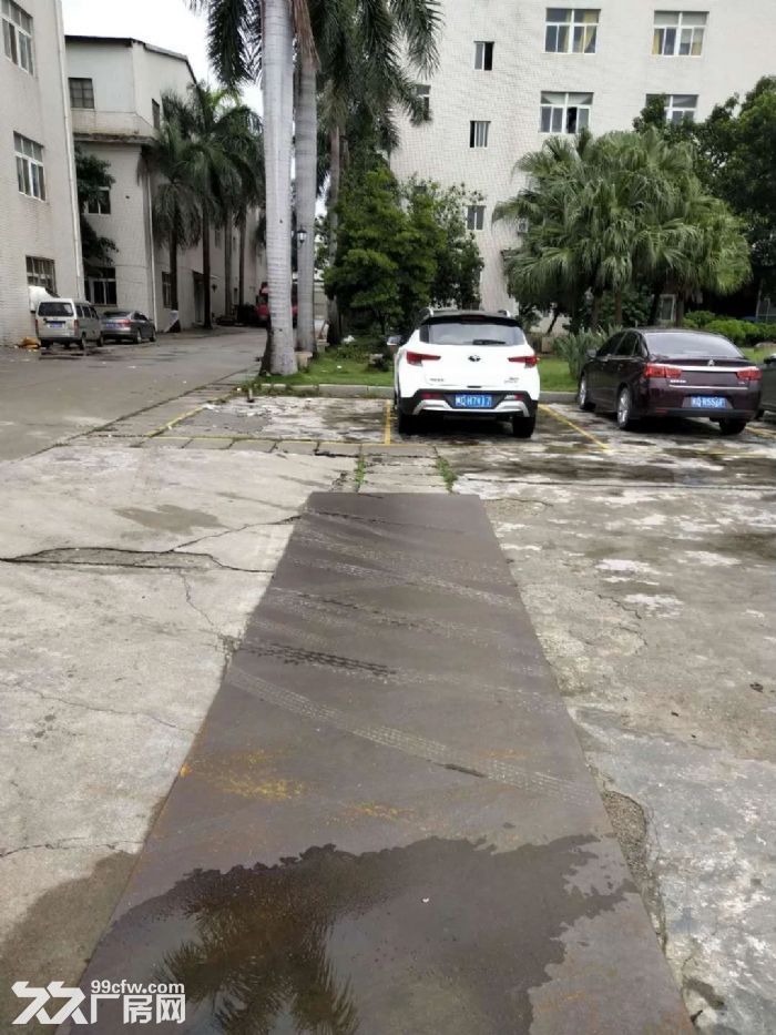 ​杏林杏西路二三层各2000平出租