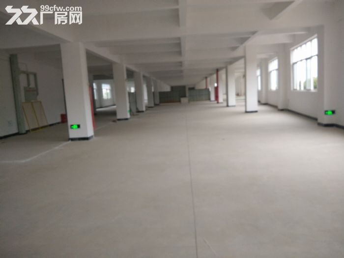 海沧标准厂房90000平方出租（可分租）