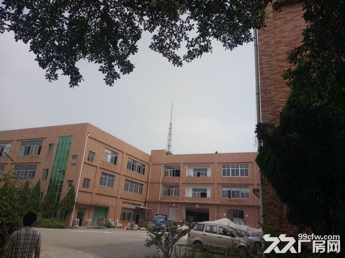 翔安火炬一期标准厂房18000平方出租