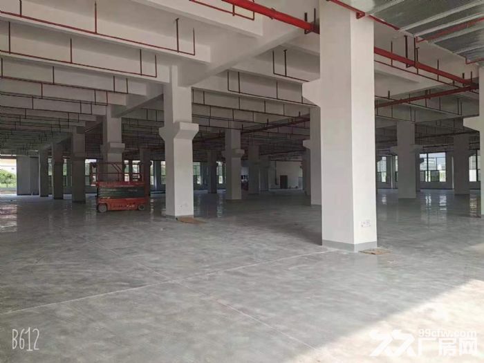 东孚独院厂房出租 1000平起租 可做环保