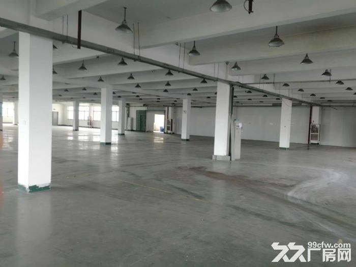 新阳工业区 8000平两栋厂房出租 注塑 用电大行业优先