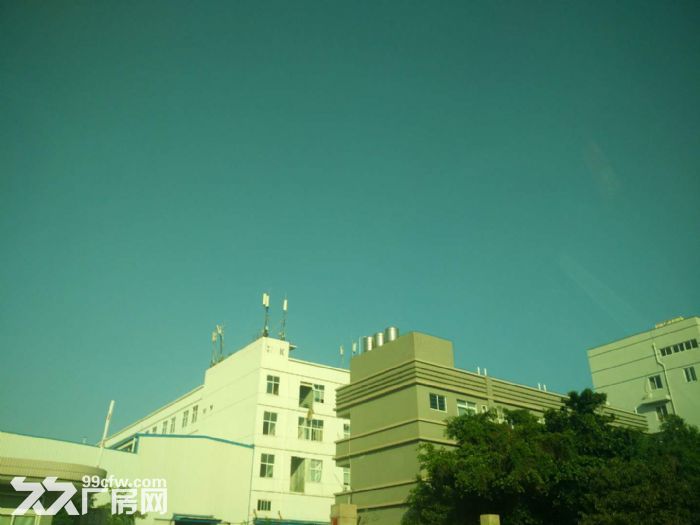 同安标准厂房1500&minus;60000平方招租，可分租-图2