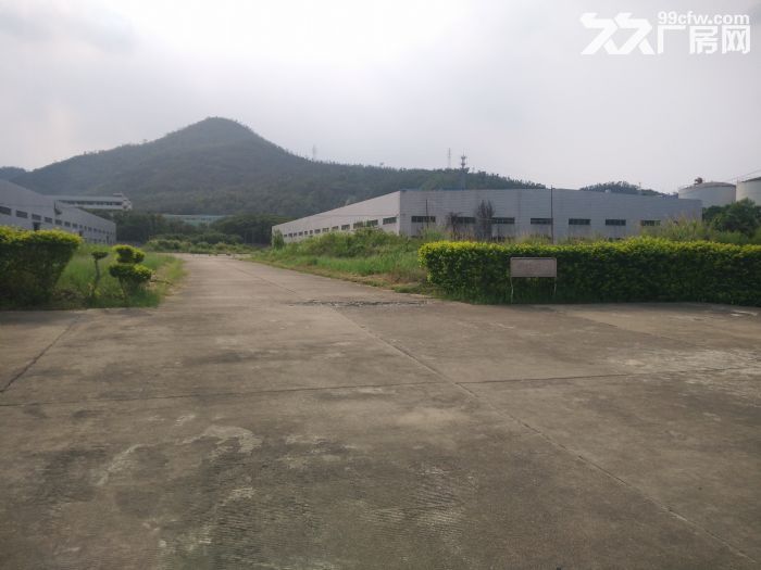 标准厂房26000平，15000平，20000平出租（可分租）