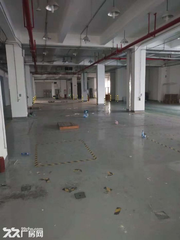 湖里区马垅附近标准厂房1楼1600平出租