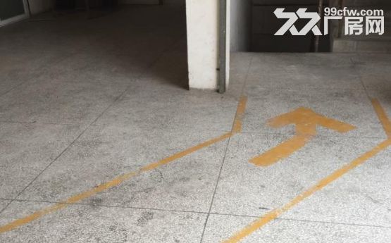 枋湖工业小区厂房出租2楼350平3楼1150平-图3