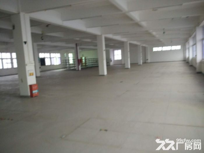 翔安标准厂房36500平方出租（可分租）