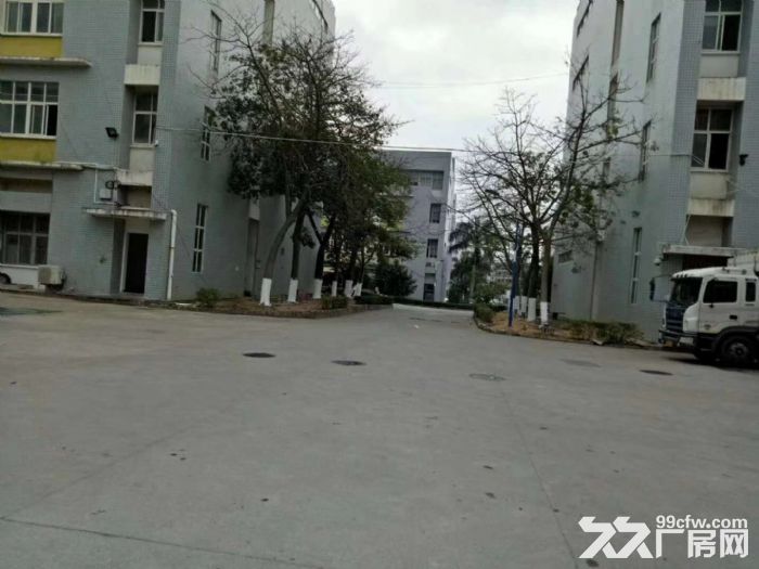 ​巷北工业区宝格丽厂房一楼550平方出租，-图3