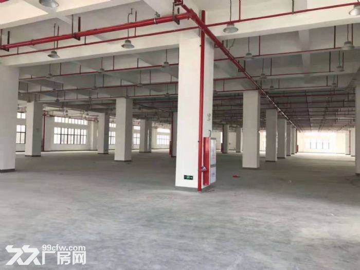 灌口工业区全新框架25000平方，单层5000平出租