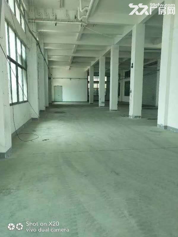 工业集中区新民大道厂房570平出租,1450平出租