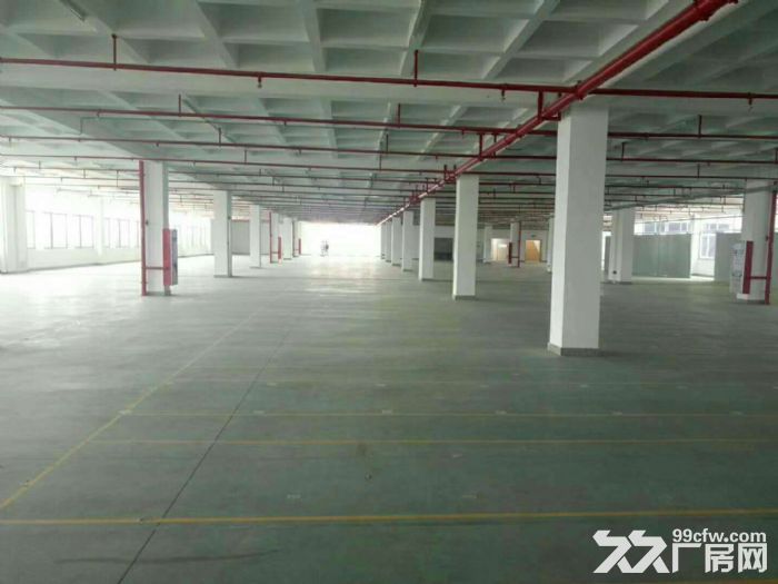 海沧厂房2000&minus;90000平方钢结构、标准厂房出租（可分租）