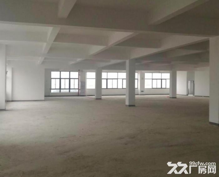 出租集美灌口海翼工业园厂房3到4层各1300平