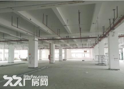 翔安火距1期标准厂房1楼1409平，业主出租