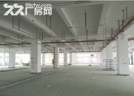 海沧全新厂房4幢出租，每栋8000多平