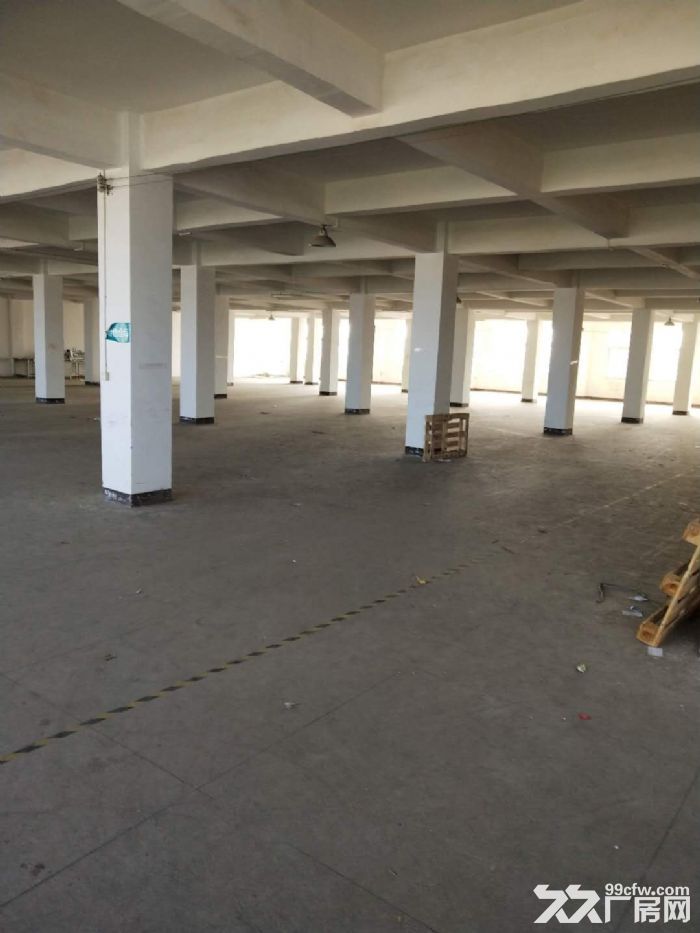 海沧村大路头 厂房 三楼1600平米4楼1300平一平