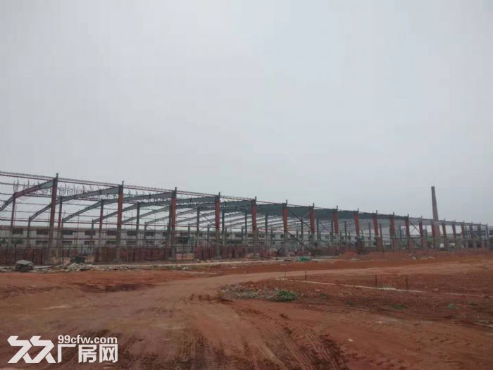 集美，罐口工业区4000平米钢结构出租