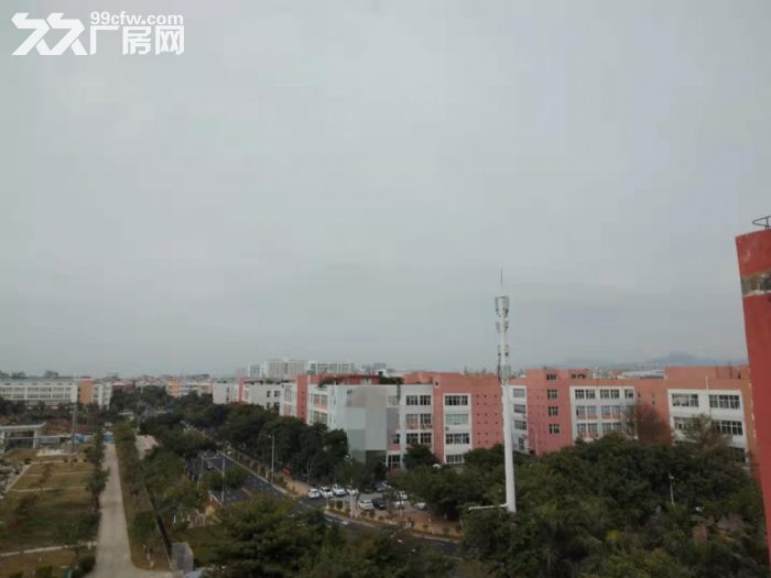 长期出租翔安框架厂房200000平方(大小可分租)