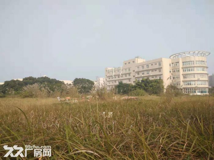 翔安火炬园一期独门独院60000平方框架厂房招租