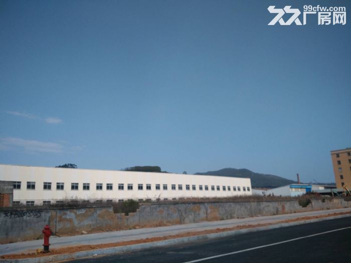 火炬园框架厂房40000平方招租