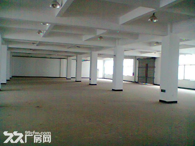 灌口标准1楼厂房500平出租