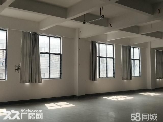 集中工业区标准厂房出租-图3