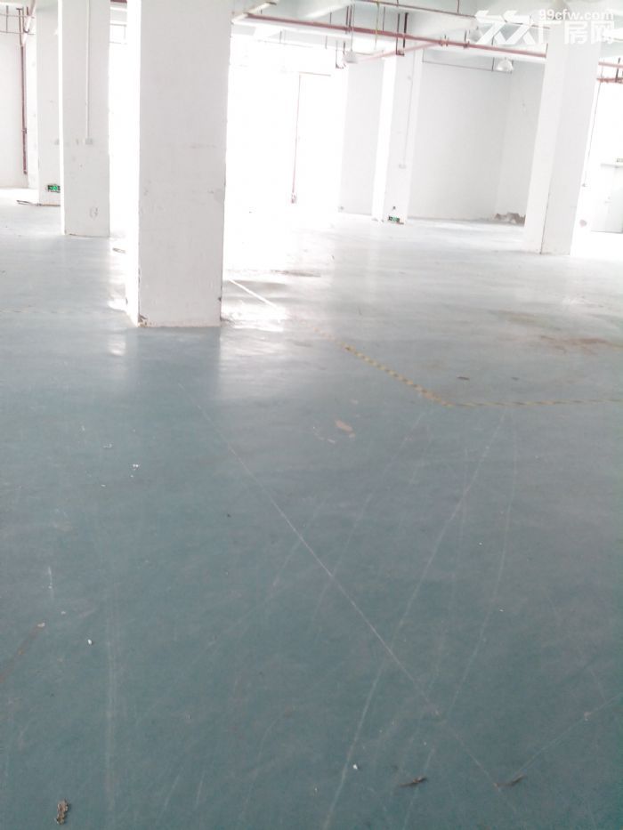 123楼6500平米出租