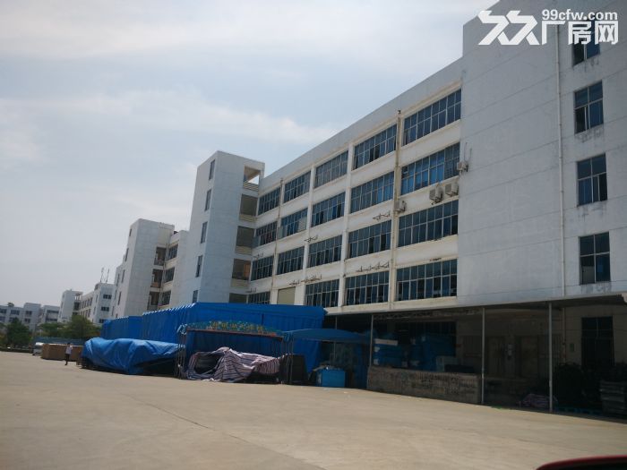 海沧区标准厂房、钢结构厂房168000平方出租（大小可分租）