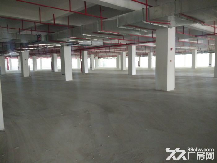 翔安标准厂房独门独院20000平方出租