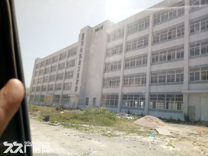 标准厂房46000平方，标准厂房62000平方，钢构8000平方出租