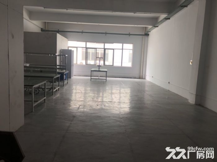 业主海沧独门独院30000平方钢结构厂房招租