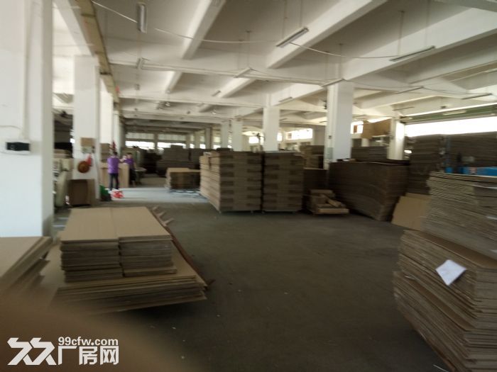 同安集中区标准厂房2000平租13元/平-图2