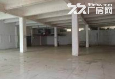 湖里大道 联泰大厦附近 标准厂房800平