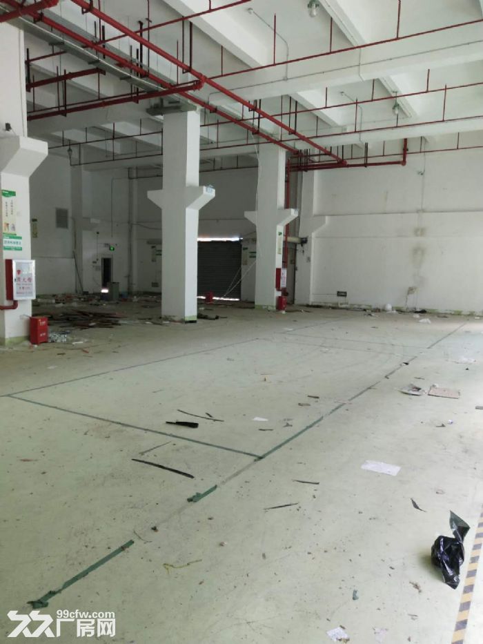 出租湖里火炬路独独院三层4000平-图2