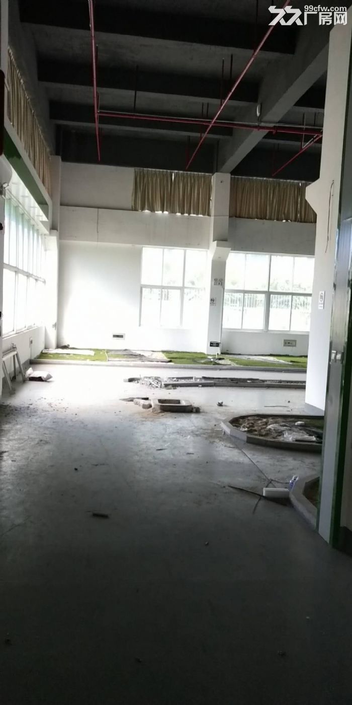 出租湖里火炬路独独院三层4000平-图5