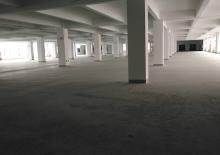 湖边水库片区 田头 厂房 3500平米了，出租