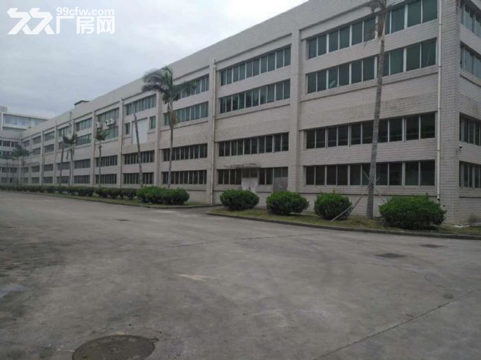 同安轻工食品园美禾三路1楼5000  ，4跟5楼精装修办公楼出租