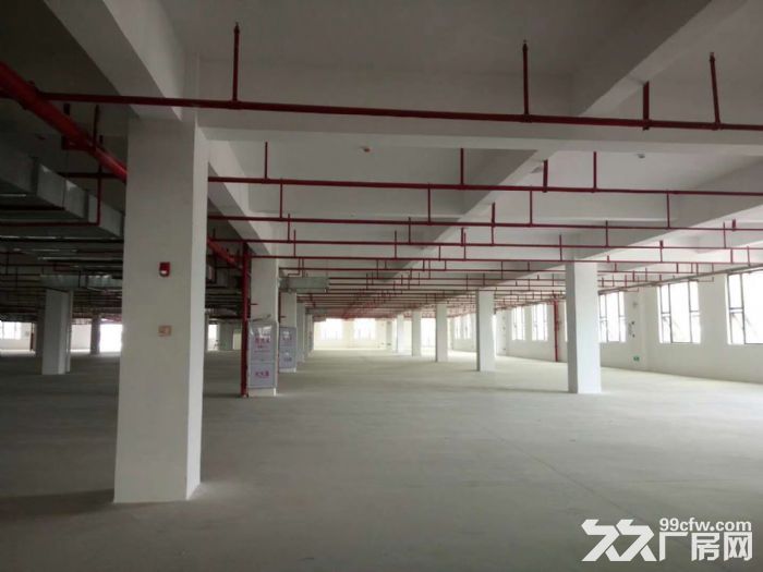 后溪工业组团附近标准1楼厂房1000平出租