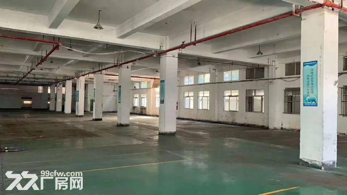 杏林独门独院 3楼2310平 高度5米出租